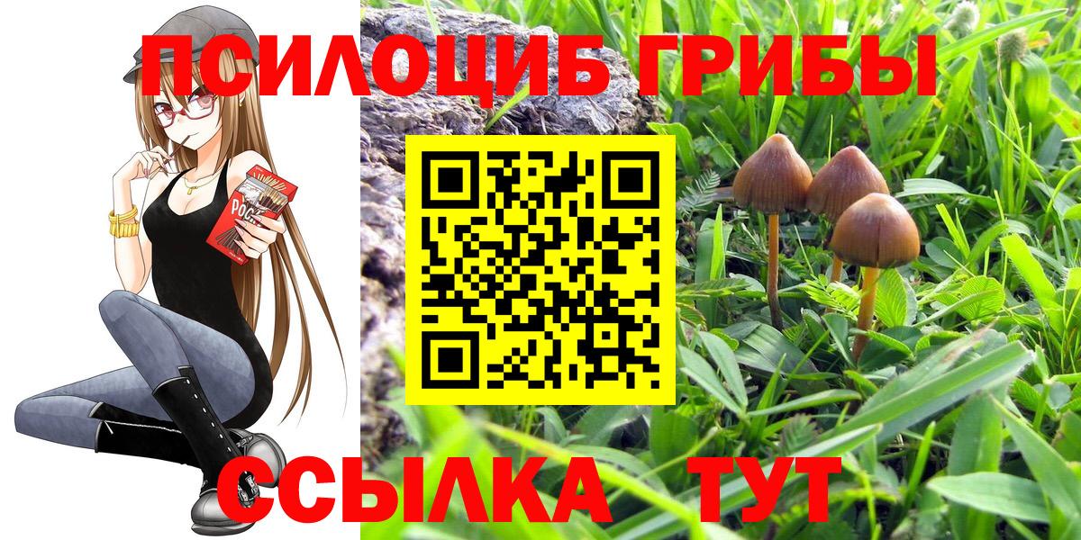 Галлюциногенные грибы Magic Shrooms Ревда